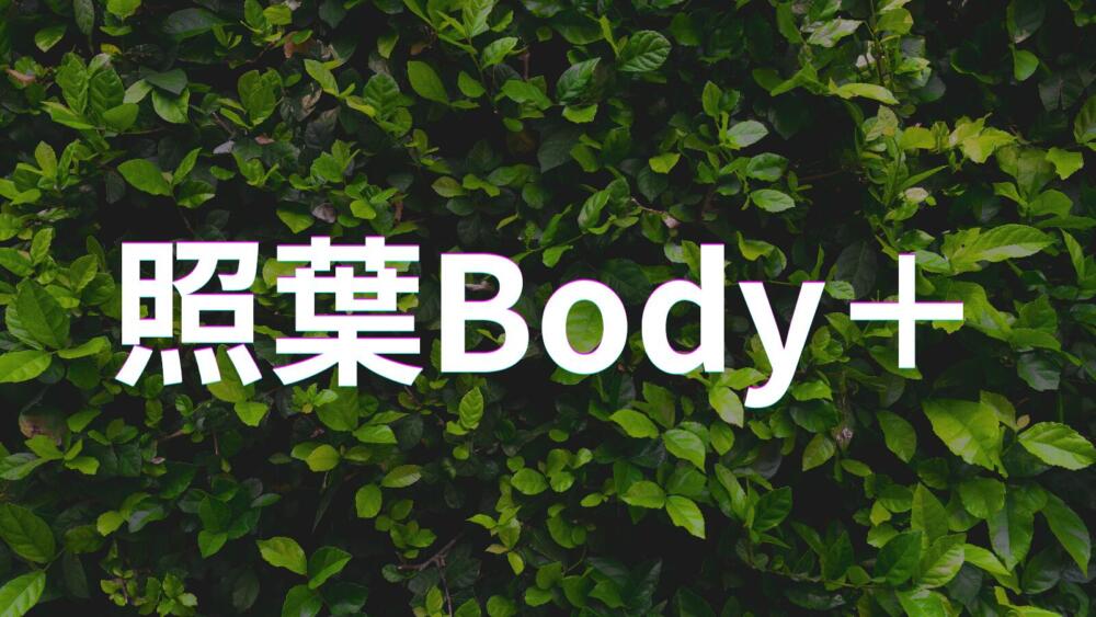 【福岡市東区香椎照葉】若手活躍中♪ 未経験の方も応募OK!!研修制度あり☆充実した研修でなりたい治療家になりましょう!!☆ブランクOK◎ 一からしっかり学べて成長を実感できる職場です!幅広い技術を身につけて患者様に喜ばれる仕事を一緒にしませんか?