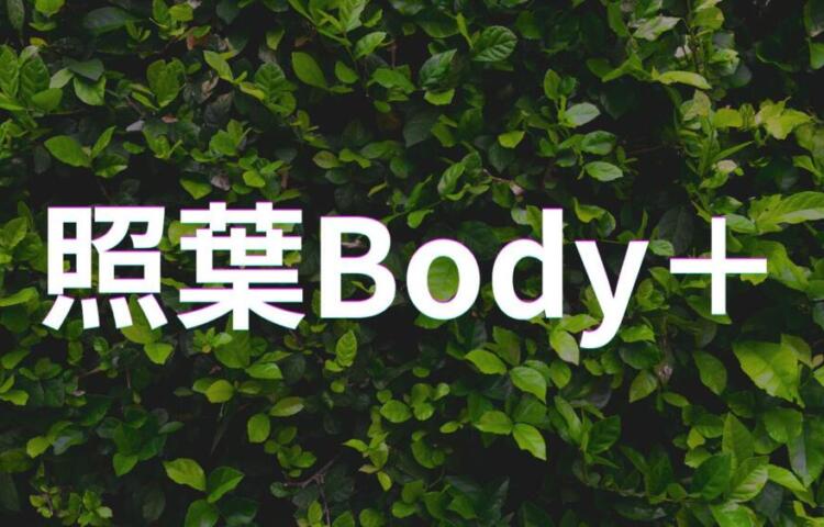 【福岡市東区香椎照葉】若手活躍中♪ 未経験の方も応募OK!!研修制度あり☆充実した研修でなりたい治療家になりましょう!!☆ブランクOK◎ 一からしっかり学べて成長を実感できる職場です!幅広い技術を身につけて患者様に喜ばれる仕事を一緒にしませんか?